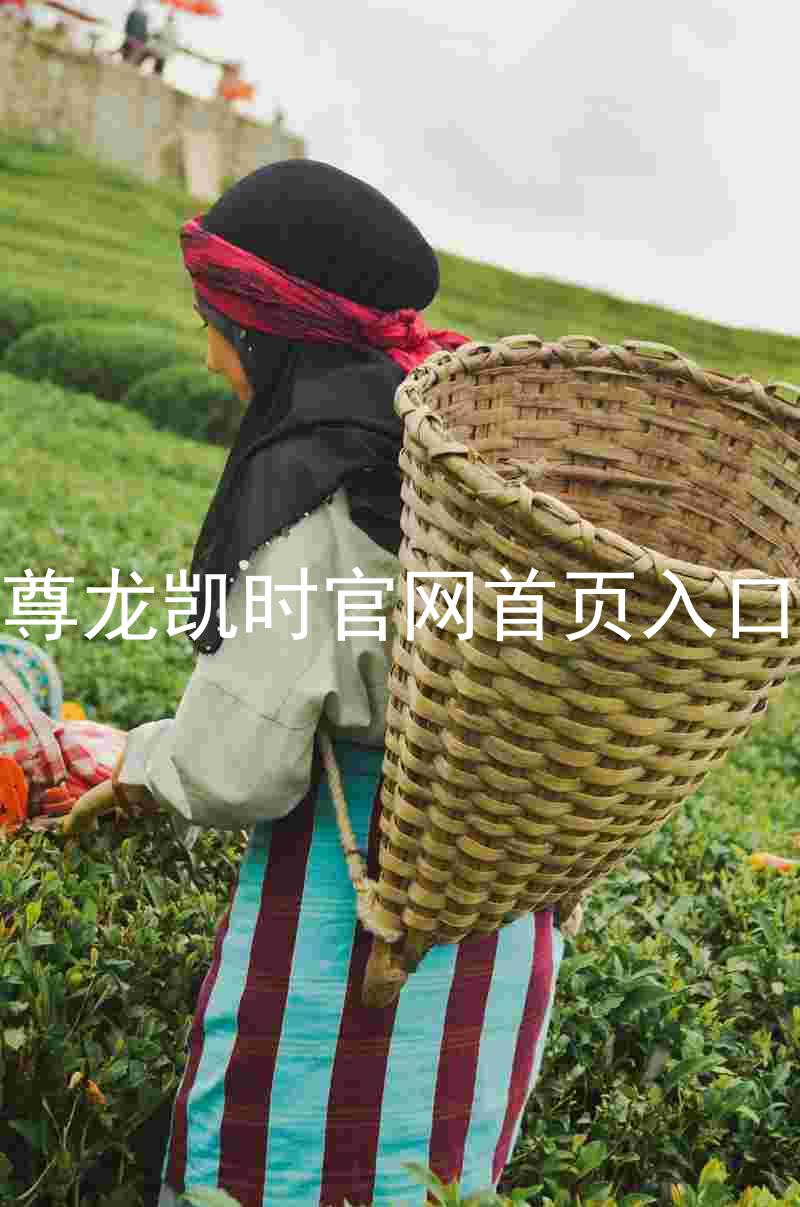 尊龙凯时官网首页入口