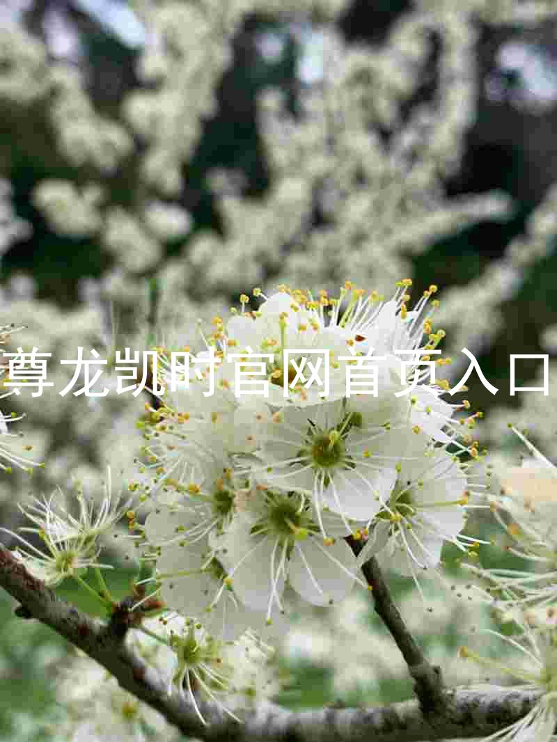 尊龙凯时官网首页入口