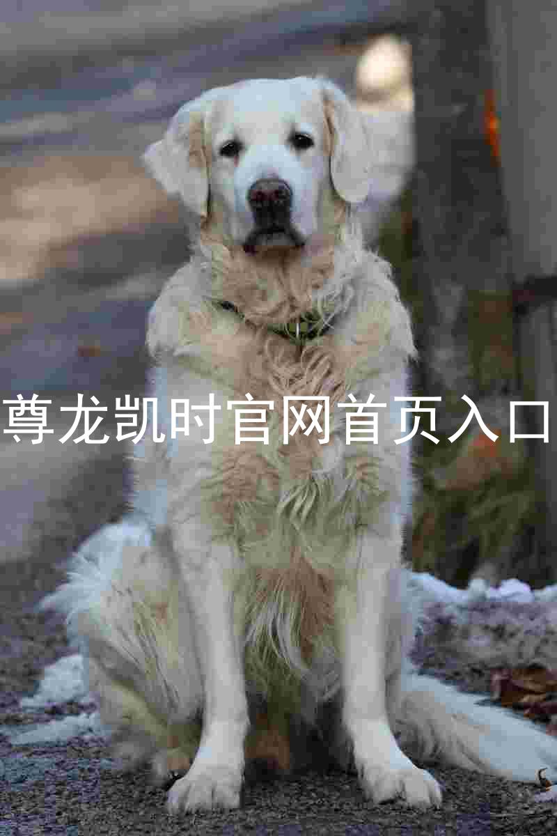 尊龙凯时官网首页入口