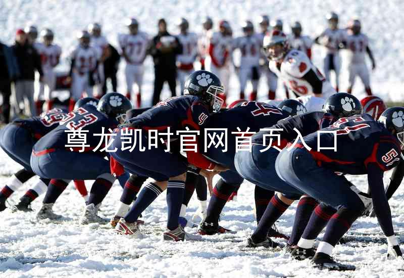 尊龙凯时官网首页入口